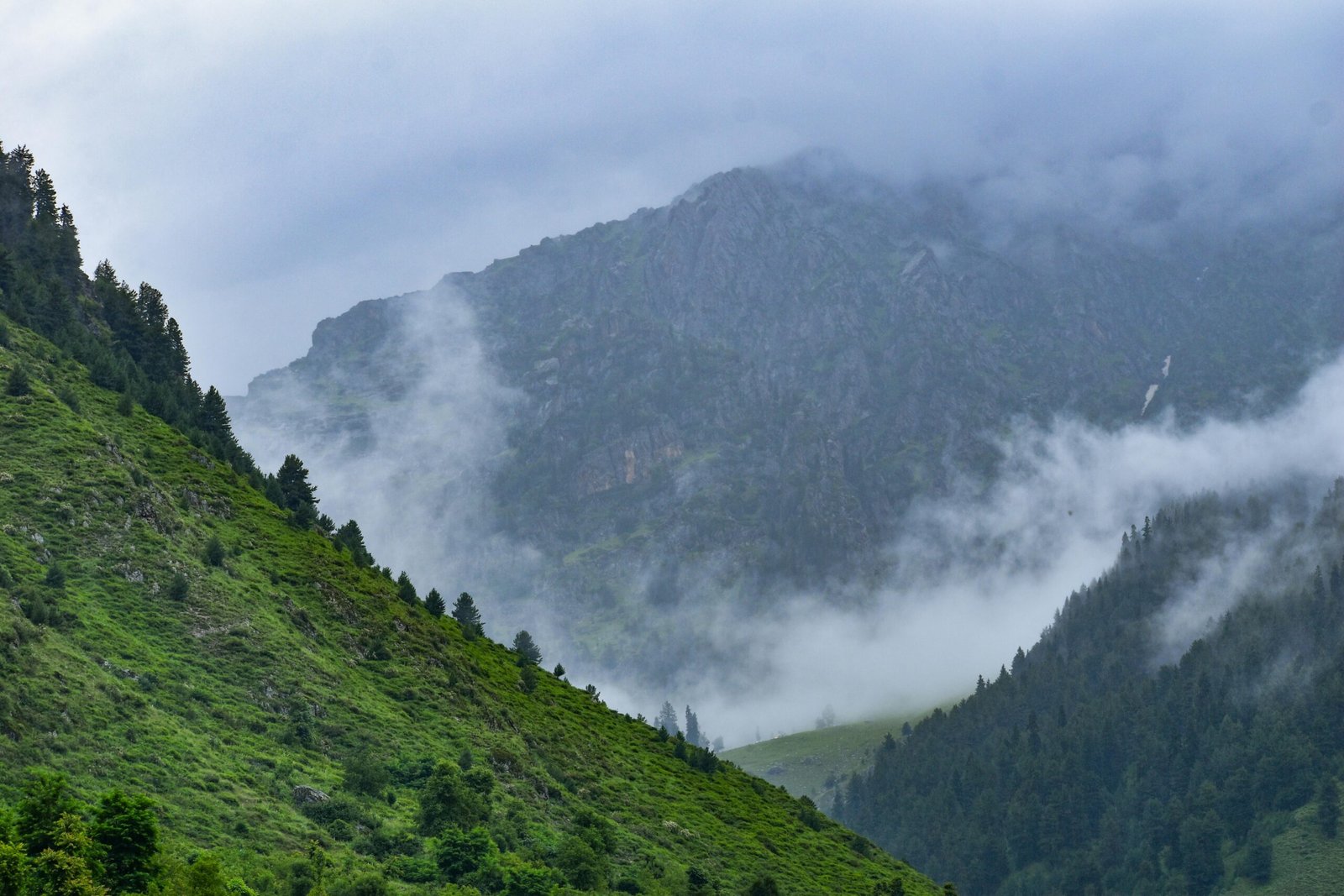 Kashmir with  Dudhpatri  